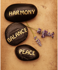 cân bằng tinh thần với pilates tại happy by quỳnh